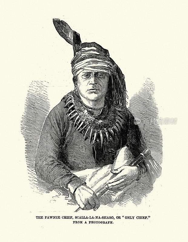 波尼族酋长，scala - la- na - sharo，或唯一的酋长，1858年，19世纪